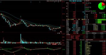 金股預(yù)測晚間版 計(jì)算機(jī)軟件開發(fā)板塊走強(qiáng)，印紀(jì)傳媒等3股后市上漲概率超75%