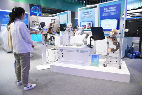 從“中國的硅谷”到“世界的中關村” 2024論壇解碼科技創(chuàng)新的全球服務新范式